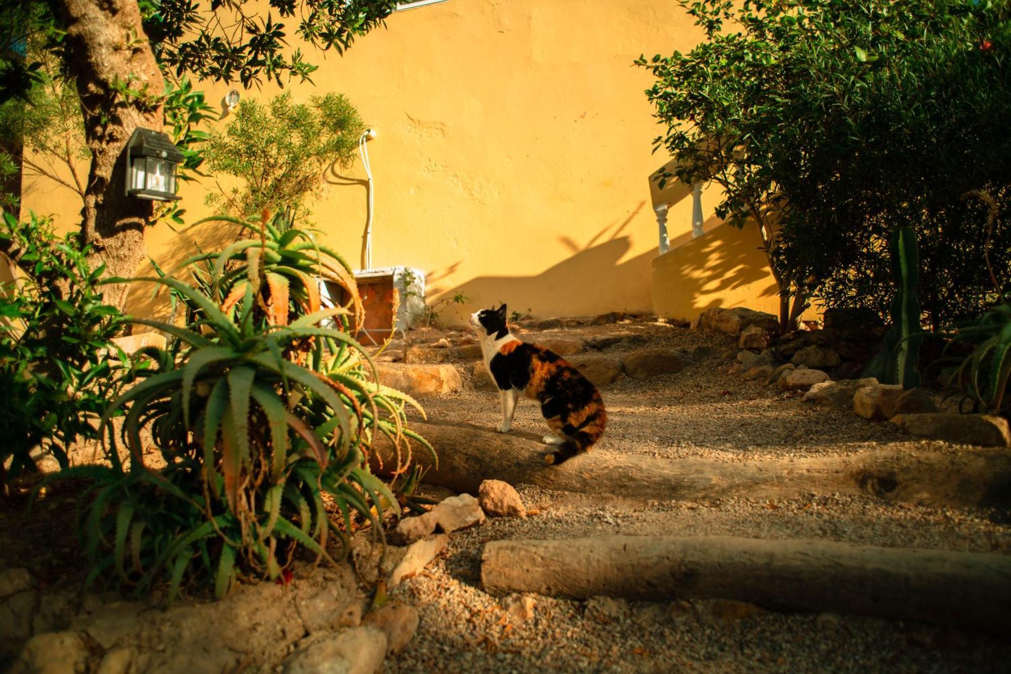 Easy Going Imsouane Bed & Breakfast Ngoại thất bức ảnh